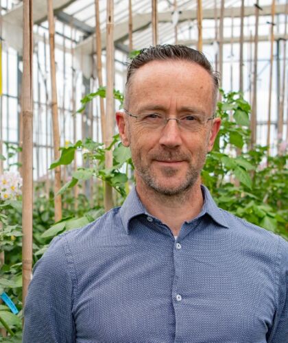 Medewerker in kas met planten